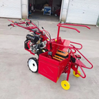 Corn Harvest Heavy Duty 11 HP Diesel Engine